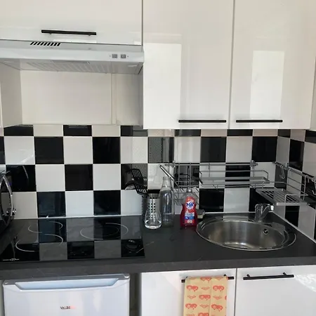 パリ16区 改装したばかりのアパルトマン クーラー付 4*