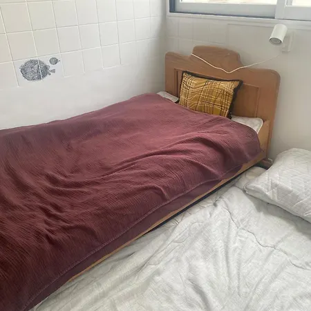 パリ16区 改装したばかりのアパルトマン クーラー付 4* Париж