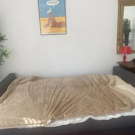 パリ16区 改装したばかりのアパルトマン クーラー付 דירה